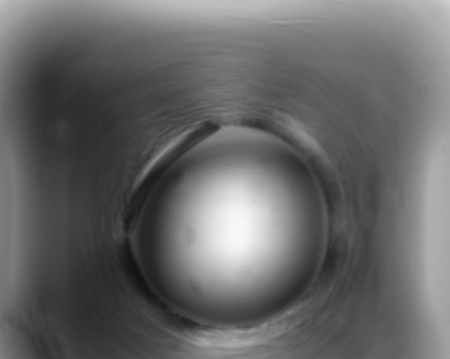 X0000088740025200706071709