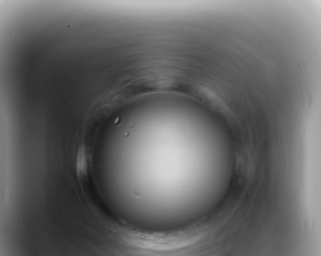 X0000088740026200706071709