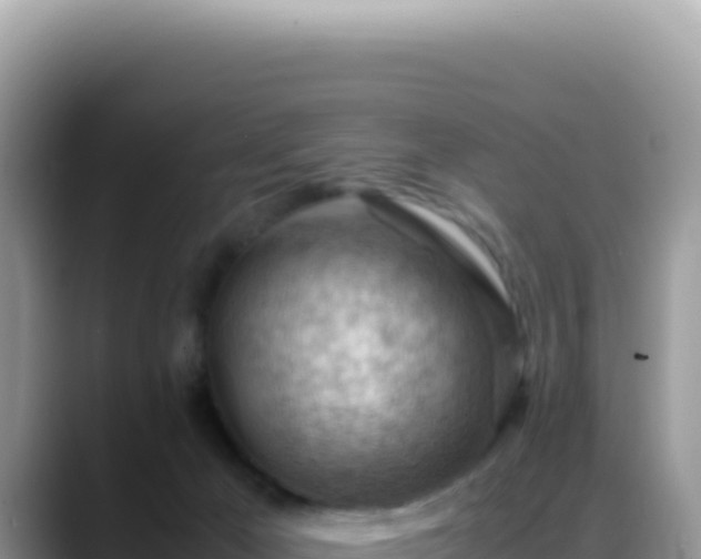 X0000088740029200706071709