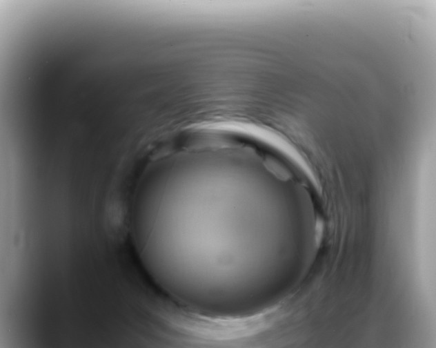 X0000088740031200706071709