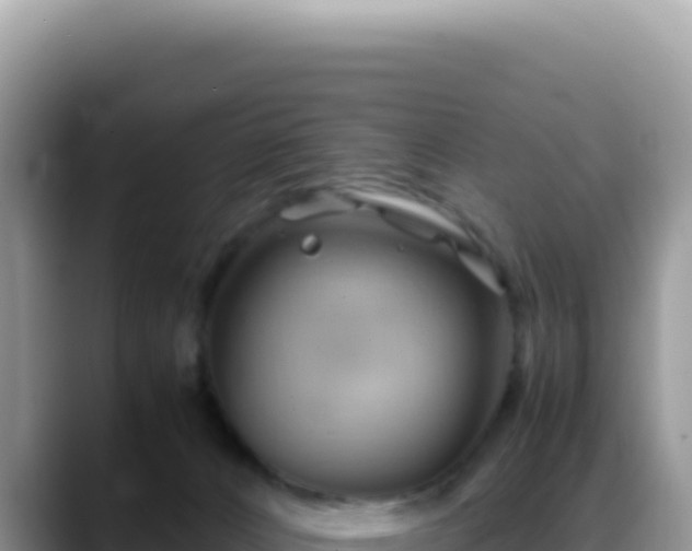 X0000088740032200706071709