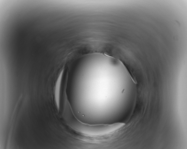 X0000088740033200706071709