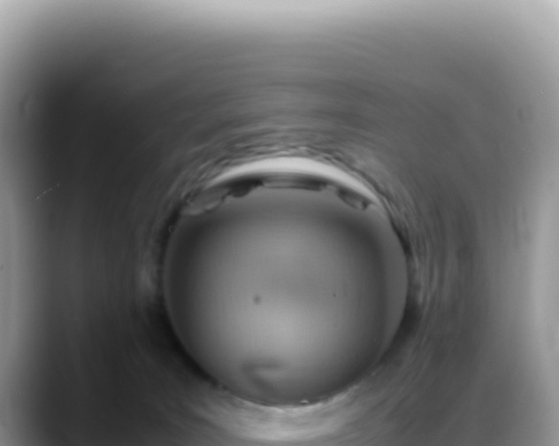 X0000088740035200706071709