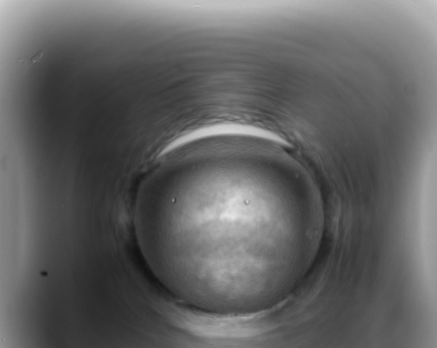 X0000088740040200706071708