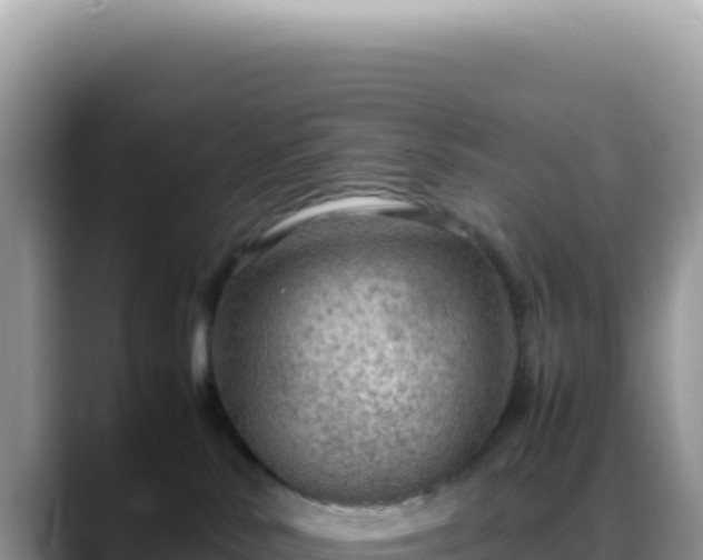 X0000088740042200706071708
