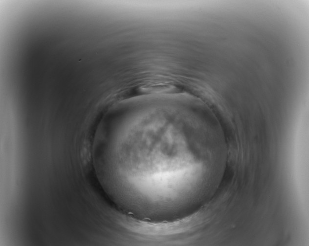 X0000088740043200706071708