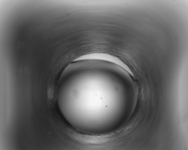 X0000088740044200706071708
