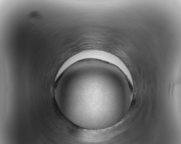 X0000088740045200706071708