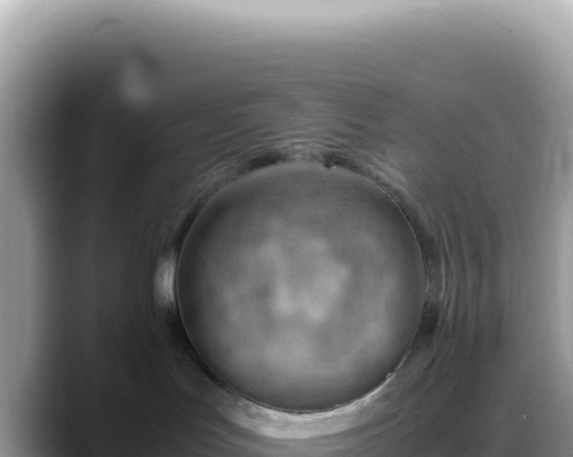 X0000088740047200706071708