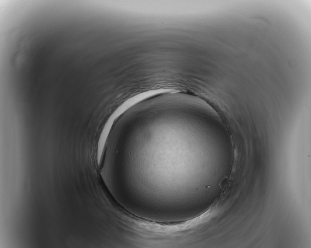 X0000088740048200706071708