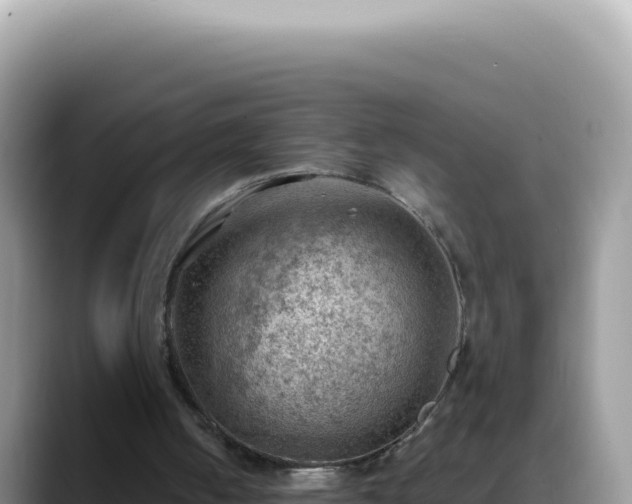 X0000088740050200706071708