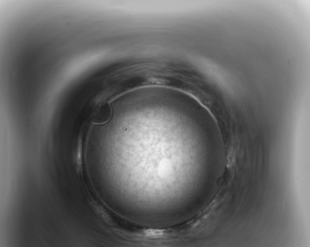 X0000088740052200706071708