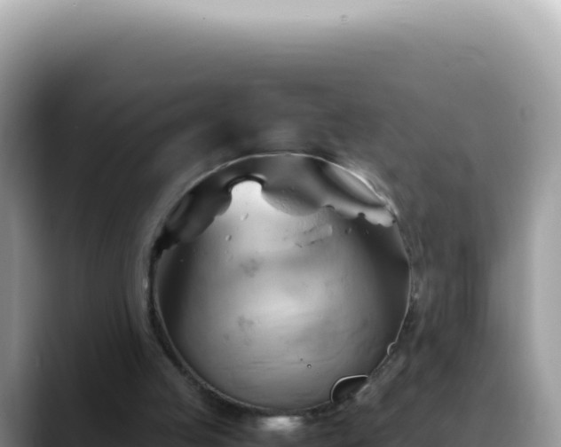 X0000088740053200706071708