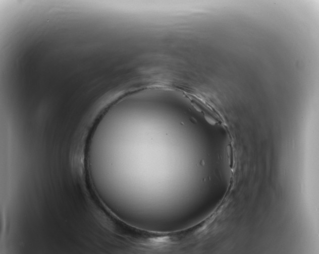 X0000088740054200706071708
