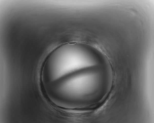 X0000088740055200706071708