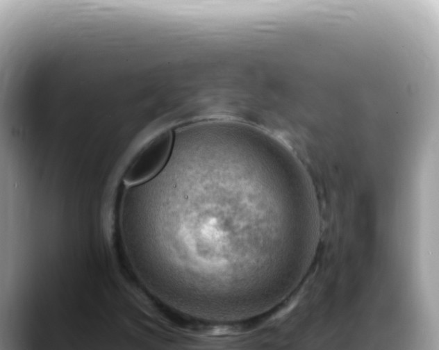 X0000088740056200706071708