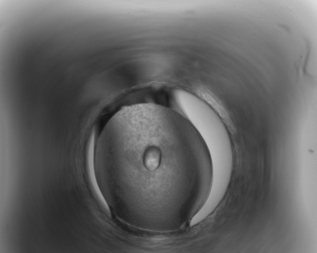 X0000088740058200706071708
