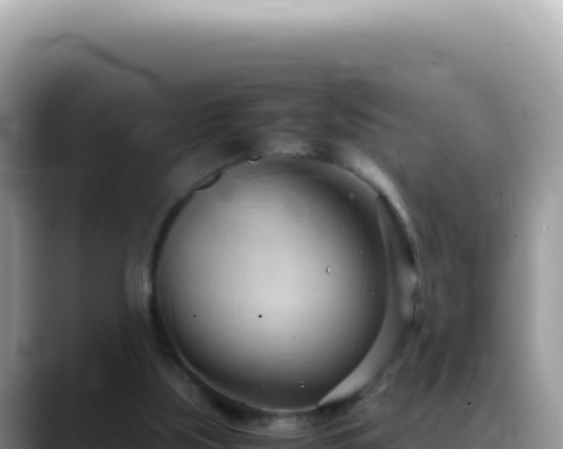 X0000088740059200706071708