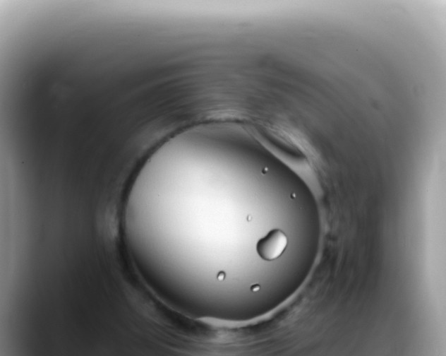 X0000088740060200706071708