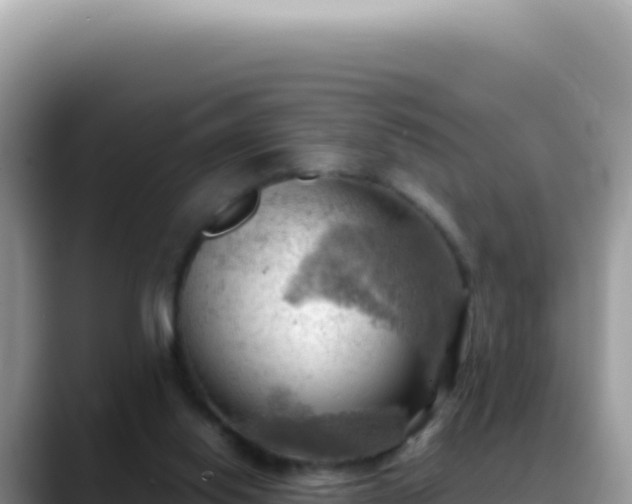 X0000088740062200706071708