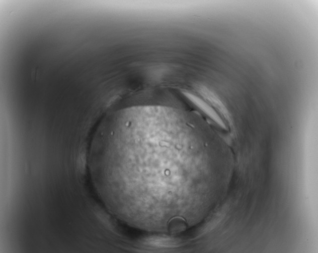 X0000088740065200706071708