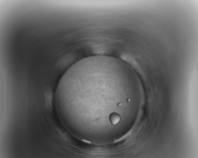 X0000088740066200706071708