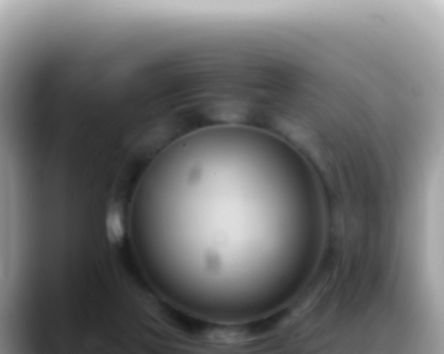 X0000088740069200706071708