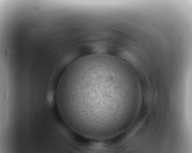 X0000088740071200706071708