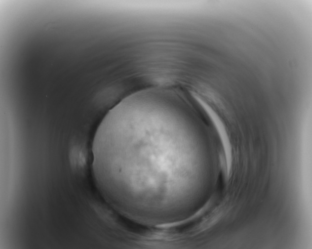 X0000088740072200706071708
