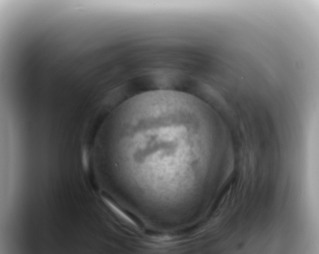 X0000088740075200706071708