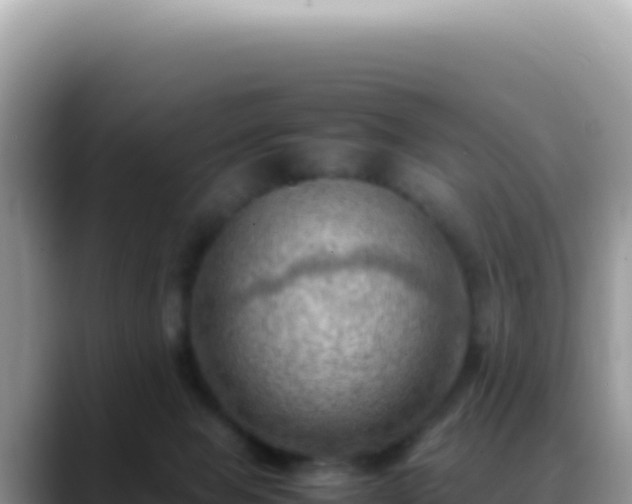 X0000088740077200706071708