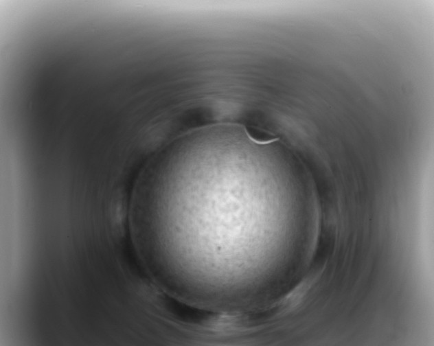 X0000088740082200706071708