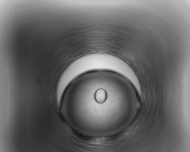 X0000088740084200706071708