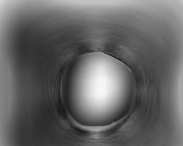 X0000088740088200706071708