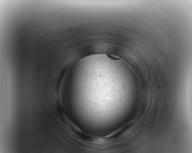 X0000088740091200706071708