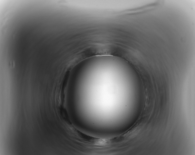 X0000088740096200706071708