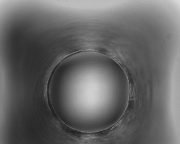 X0000088740099200706071708