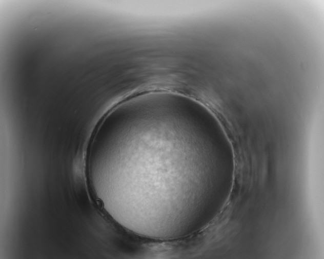 X0000088740100200706071708