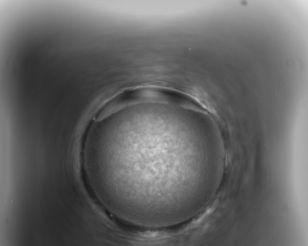 X0000088740101200706071708