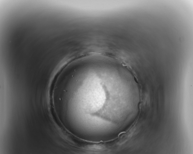 X0000088740102200706071708