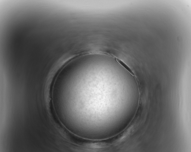 X0000088740103200706071708