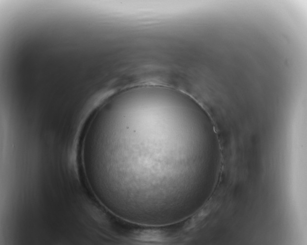 X0000088740104200706071708