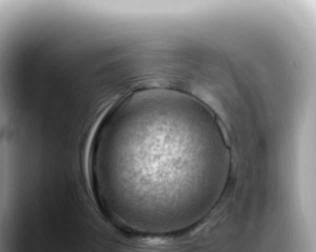 X0000088740105200706071708
