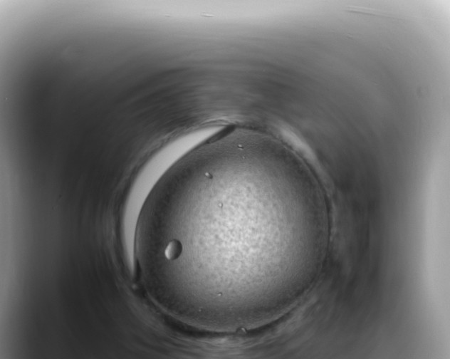 X0000088740106200706071708