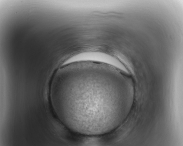 X0000088740107200706071708