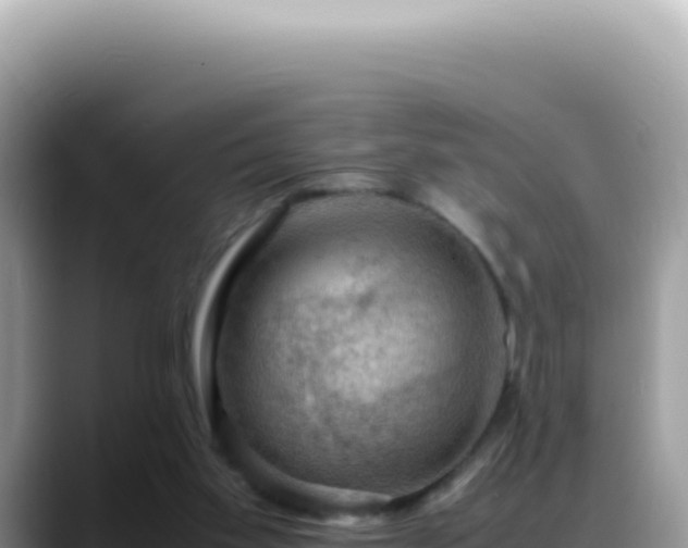 X0000088740109200706071708