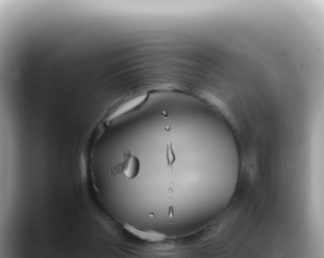 X0000088740110200706071708