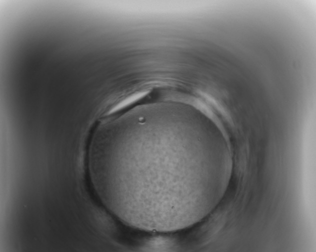 X0000088740111200706071708