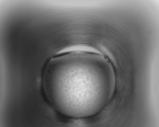 X0000088740113200706071708