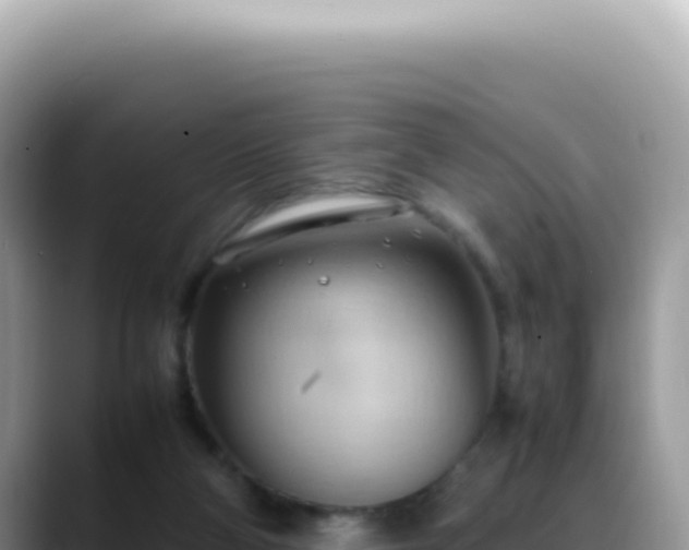 X0000088740114200706071708